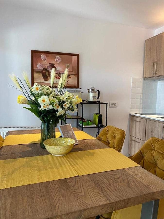 Apartaments Rîşnov Eksteriør billede