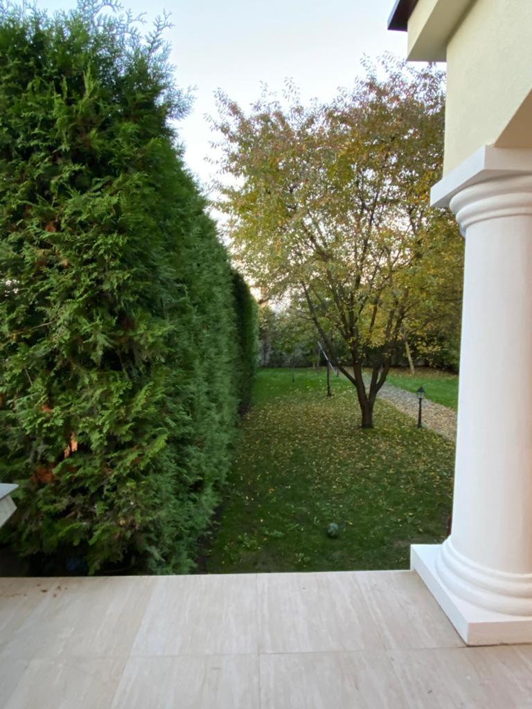 Apartaments Rîşnov Værelse billede